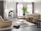 Leather Sofa (FH1204)